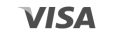 logotipo-gris-visa.jpg
